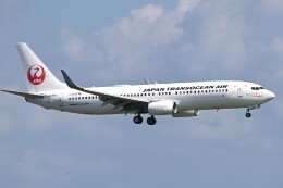 Haruru-cameraさんが、羽田空港で撮影した日本トランスオーシャン航空 737-8Q3の航空フォト（飛行機 写真・画像）