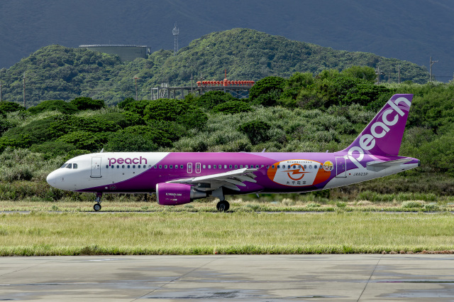 狛犬さんが、石垣空港で撮影したピーチ A320-214の航空フォト（飛行機 写真・画像）