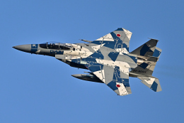 フォト太郎さんが、小松空港で撮影した航空自衛隊 F-15DJ Eagleの航空フォト（飛行機 写真・画像）
