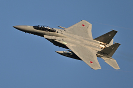 フォト太郎さんが、小松空港で撮影した航空自衛隊 F-15DJ Eagleの航空フォト（飛行機 写真・画像）