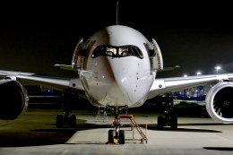 chikoさんが、羽田空港で撮影した日本航空 A350-1041の航空フォト（飛行機 写真・画像）