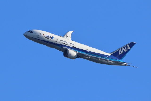kaz787さんが、伊丹空港で撮影した全日空 787-8 Dreamlinerの航空フォト（飛行機 写真・画像）