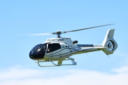 BlueStarさんが、東京ヘリポートで撮影したオートパンサー EC130T2 (H130)の航空フォト（飛行機 写真・画像）