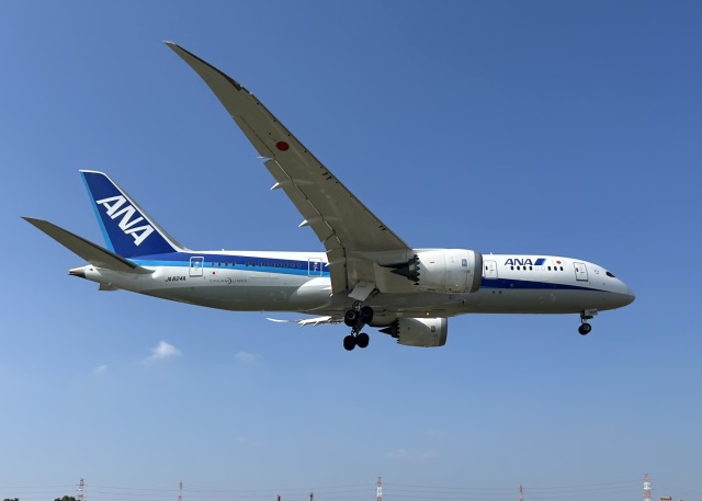 Turquoiseさんが、伊丹空港で撮影した全日空 787-8 Dreamlinerの航空フォト（飛行機 写真・画像）