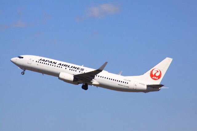 けいとパパさんが、羽田空港で撮影した日本航空 737-846の航空フォト（飛行機 写真・画像）