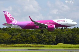 tassさんが、成田国際空港で撮影したピーチ A320-251Nの航空フォト（飛行機 写真・画像）