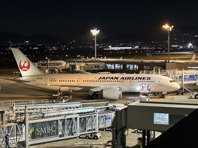 Turquoiseさんが、伊丹空港で撮影した日本航空 787-8 Dreamlinerの航空フォト（飛行機 写真・画像）