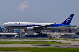 C-1 foreverさんが、福岡空港で撮影した全日空 777-281/ERの航空フォト（飛行機 写真・画像）