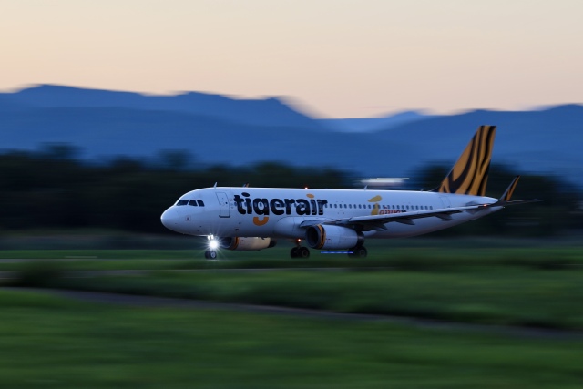 HNANA787さんが、花巻空港で撮影したタイガーエア台湾 A320-232の航空フォト（飛行機 写真・画像）