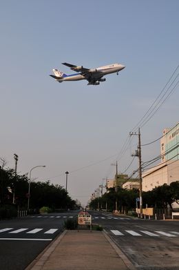 羽田空港 - Tokyo International Airport [HND/RJTT]で撮影された全日空 - All Nippon Airways [NH/ANA]の航空機写真