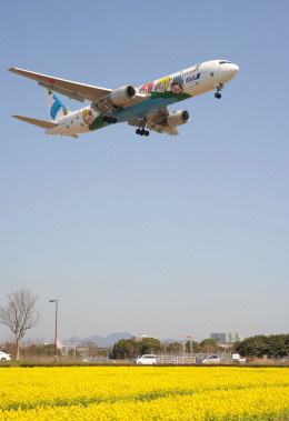 福岡空港 - Fukuoka Airport [FUK/RJFF]で撮影された全日空 - All Nippon Airways [NH/ANA]の航空機写真