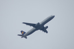 kanade/Ryo@S.O.R.A.さんが、フランクフルト国際空港で撮影したルフトハンザドイツ航空 A321-231の航空フォト（飛行機 写真・画像）