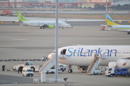 Oceanbuleさんが、羽田空港で撮影したスリランカ航空 A340-313Xの航空フォト（飛行機 写真・画像）