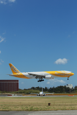 成田国際空港 - Narita International Airport [NRT/RJAA]で撮影されたスクート - Scoot [TZ/SCO]の航空機写真