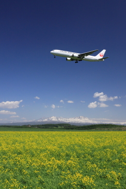 旭川空港 - Asahikawa Airport [AKJ/RJEC]で撮影された日本航空 - Japan Airlines [JL/JAL]の航空機写真