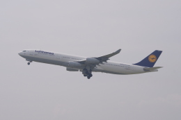 UMIZARU LOVEさんが、関西国際空港で撮影したルフトハンザドイツ航空 A340-311の航空フォト（飛行機 写真・画像）