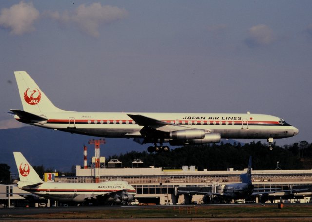 チャーリーマイクさんが、福岡空港で撮影した日本航空 DC-8-62の航空フォト（飛行機 写真・画像）