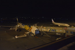 宮崎空港 - Miyazaki Airport [KMI/RJFM]で撮影された全日空 - All Nippon Airways [NH/ANA]の航空機写真