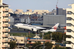 伊丹空港 - Osaka International Airport [ITM/RJOO]で撮影された日本航空 - Japan Airlines [JL/JAL]の航空機写真