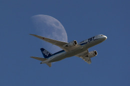 羽田空港 - Tokyo International Airport [HND/RJTT]で撮影された全日空 - All Nippon Airways [NH/ANA]の航空機写真