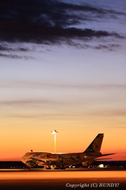 RUNDY!さんが、羽田空港で撮影した全日空 747-481(D)の航空フォト（飛行機 写真・画像）