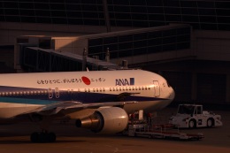 中部国際空港 - Chubu Centrair International Airport [NGO/RJGG]で撮影された全日空 - All Nippon Airways [NH/ANA]の航空機写真