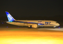 広島空港 - Hiroshima Airport [HIJ/RJOA]で撮影された全日空 - All Nippon Airways [NH/ANA]の航空機写真