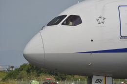 awayan-Sky-RJFM/KMIさんが、宮崎空港で撮影した全日空 787-8 Dreamlinerの航空フォト（飛行機 写真・画像）