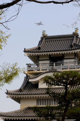 能満寺山公園で撮影されたANAウイングス - ANA Wings [EH/AKX]の航空機写真