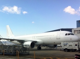 kaniebiさんが、伊丹空港で撮影したバニラエア A320-216の航空フォト（飛行機 写真・画像）