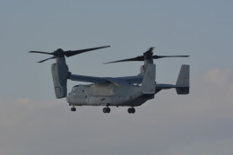 awayan-Sky-RJFM/KMIさんが、新田原基地で撮影したアメリカ海兵隊 MV-22Bの航空フォト（飛行機 写真・画像）