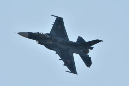 awayan-Sky-RJFM/KMIさんが、新田原基地で撮影した航空自衛隊 F-2Aの航空フォト（飛行機 写真・画像）