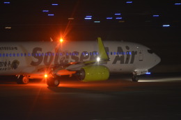 awayan-Sky-RJFM/KMIさんが、宮崎空港で撮影したソラシド エア 737-81Dの航空フォト（飛行機 写真・画像）