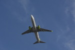 宮崎空港の撮影スポット「RW09周辺」で撮影された飛行機の写真です。