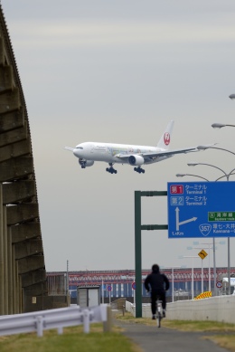 羽田空港 - Tokyo International Airport [HND/RJTT]で撮影された日本航空 - Japan Airlines [JL/JAL]の航空機写真