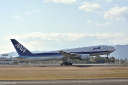 awayan-Sky-RJFM/KMIさんが、宮崎空港で撮影した全日空 777-281/ERの航空フォト（飛行機 写真・画像）