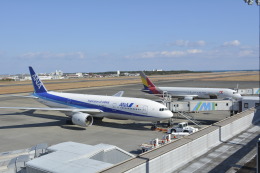 awayan-Sky-RJFM/KMIさんが、宮崎空港で撮影した全日空 777-281の航空フォト（飛行機 写真・画像）