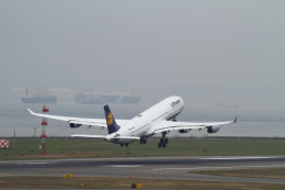 とらまるさんが、中部国際空港で撮影したルフトハンザドイツ航空 A340-311の航空フォト（飛行機 写真・画像）