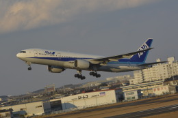 awayan-Sky-RJFM/KMIさんが、宮崎空港で撮影した全日空 777-281の航空フォト（飛行機 写真・画像）