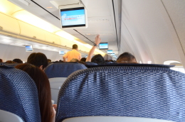 初738！ - ANA (全日空) 口コミ・評価 | FlyTeam(フライチーム)