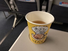 新千歳空港 神戸空港 航空会社 評判 Flyteam フライチーム