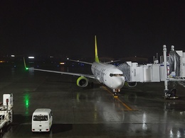 写真の種類:搭乗機(外観)