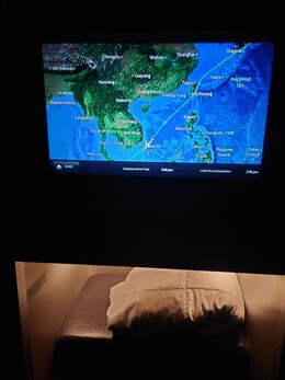 写真の種類:機内設備・様子