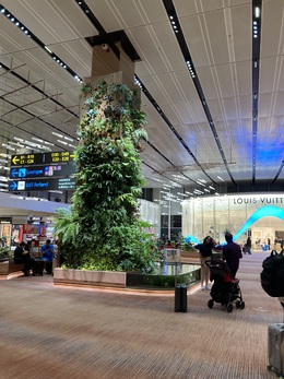 写真の種類:出発空港での写真