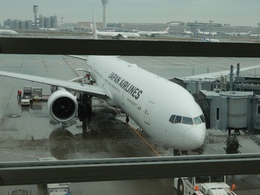 写真の種類:搭乗機(外観)