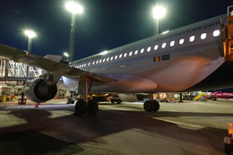 日本に馴染みはありませんが…ブリュッセル航空 エアバス A319 日本に馴染みはありませんが…ブリュッセル航空 エアバス A319