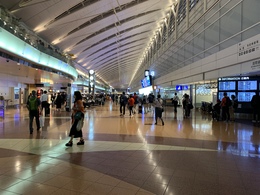 写真の種類:出発空港での写真