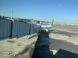 写真の種類:搭乗機(外観)
