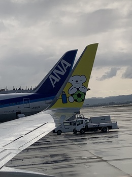 写真の種類:出発空港での写真