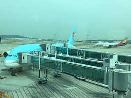 写真の種類:搭乗機(外観)